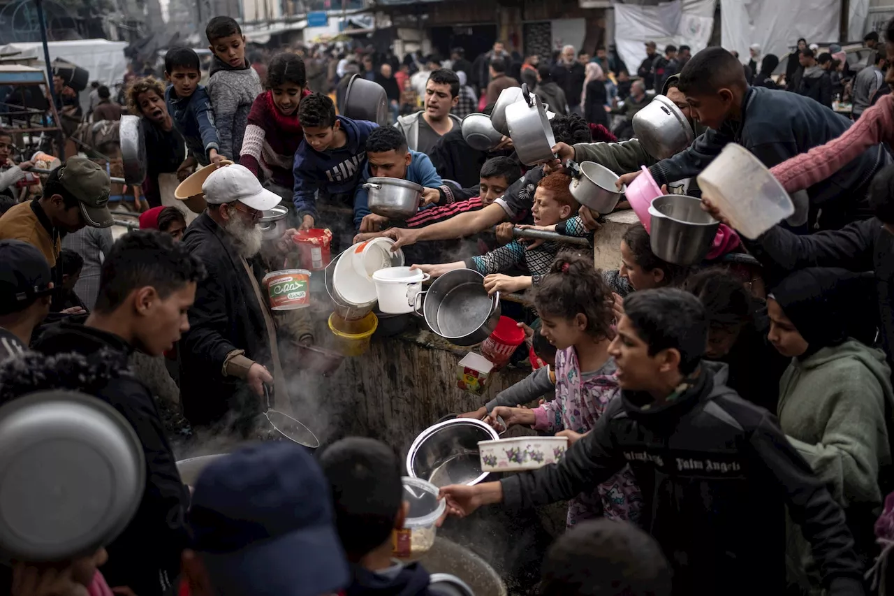 UN halts food distribution in Rafah, citing lack of supplies and security concerns