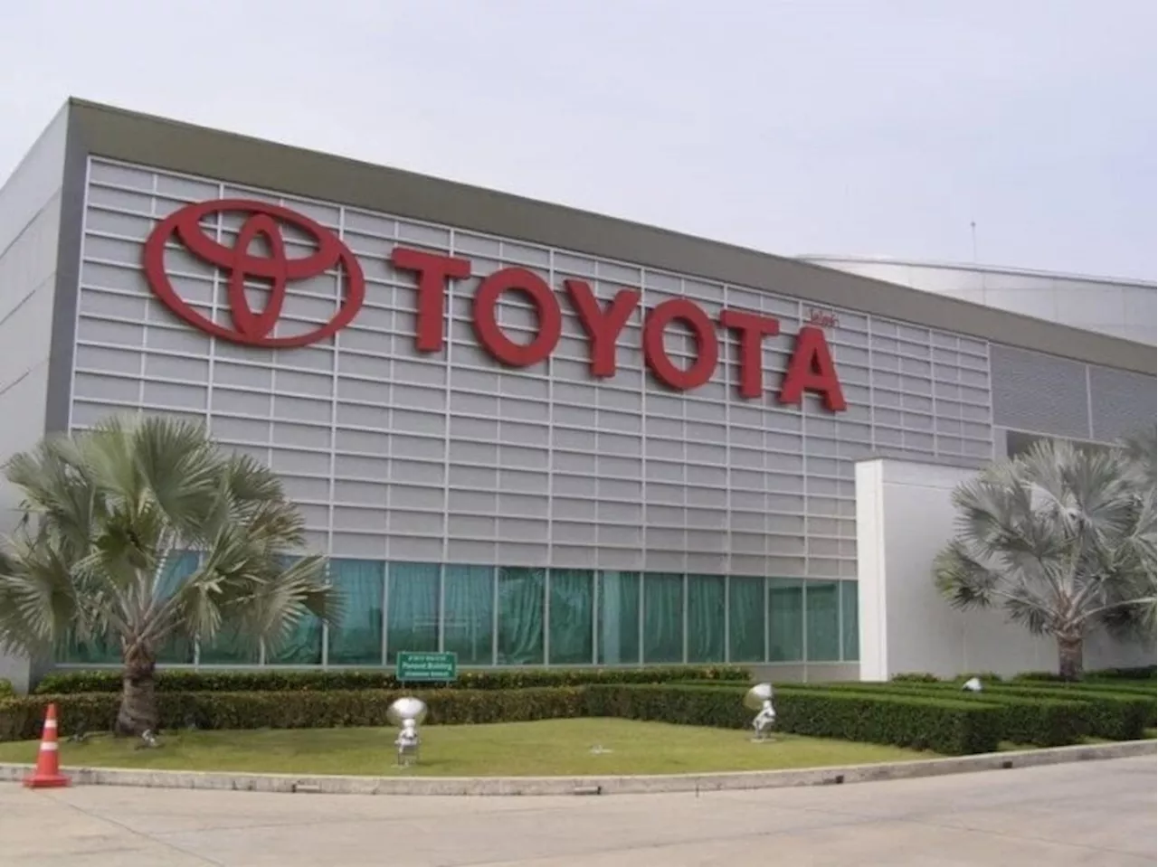 ¿Puede Toyota en Apaseo el Grande apoyar a ganaderos frente a sequía?