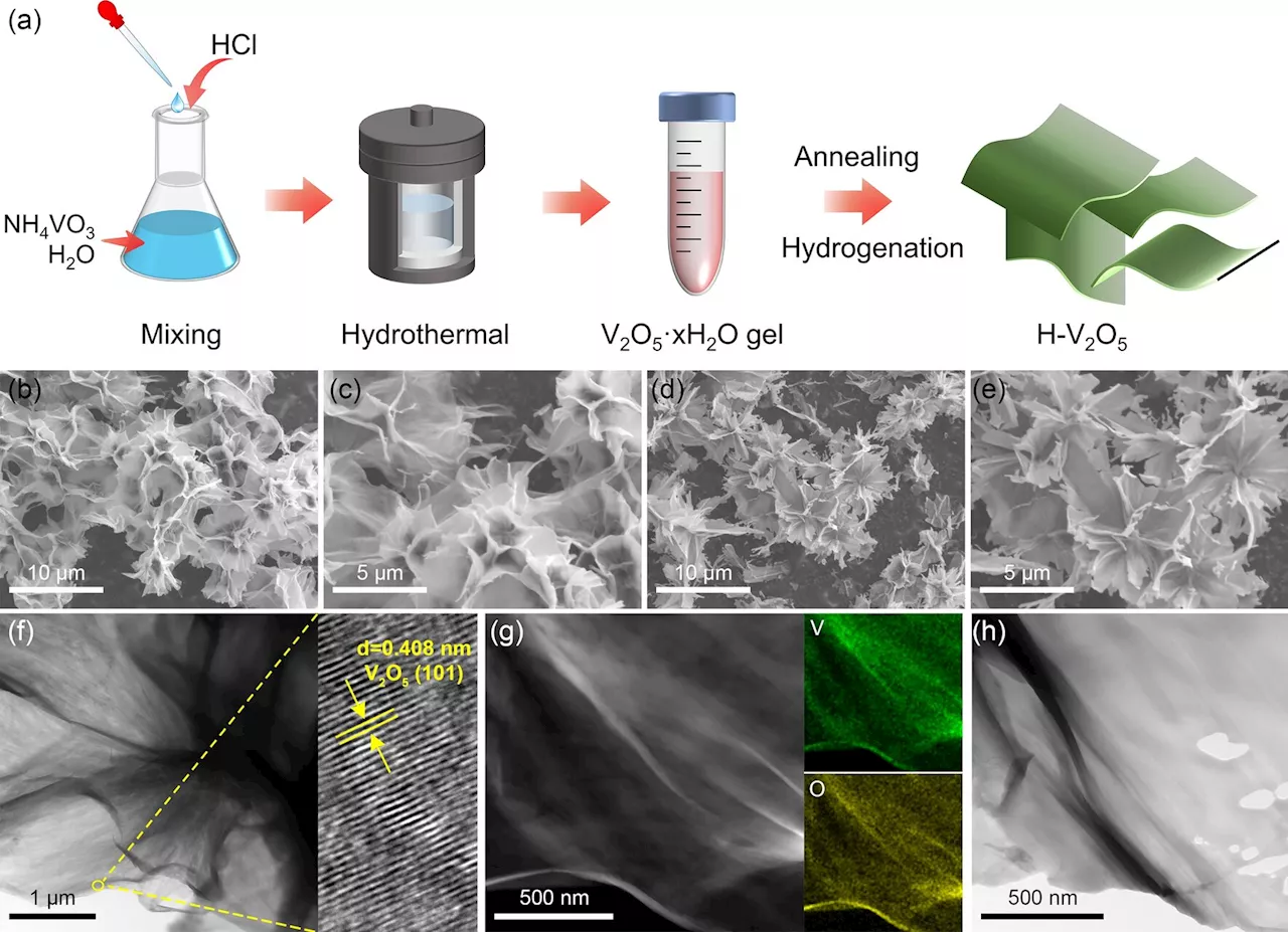 Improving MgH&#8322; hydrogen storage with oxygen vacancy-enriched H-V&#8322;O&#8325; nanosheets as an active H-pump