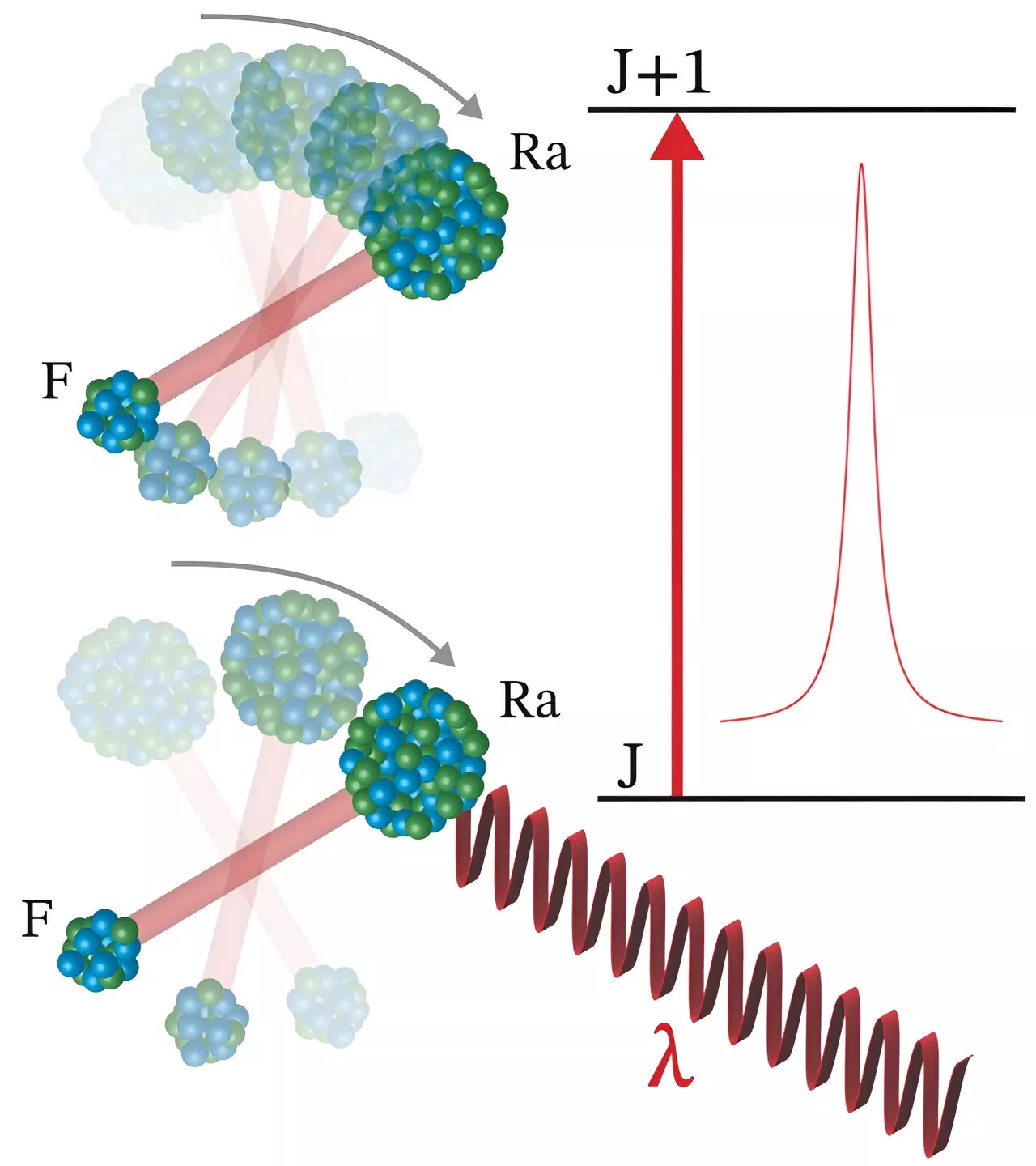 Nuclear physicists make first precision measurements of radium monofluoride