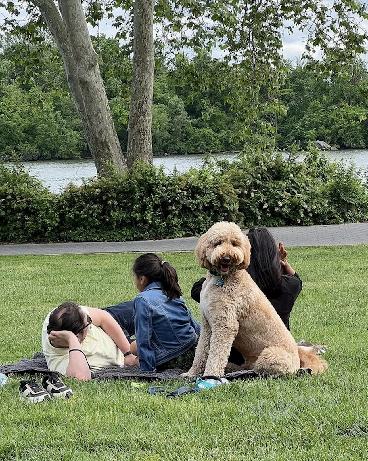 In Happier Parks News: “Washington, DC, Defends Title as Nation’s Best Big City Park System”