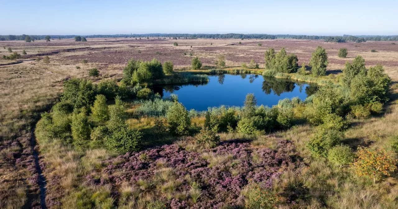 WMD wil waterwinning bij Assen-Oost uitbreiden, maar moet eerst natuuronderzoek doen