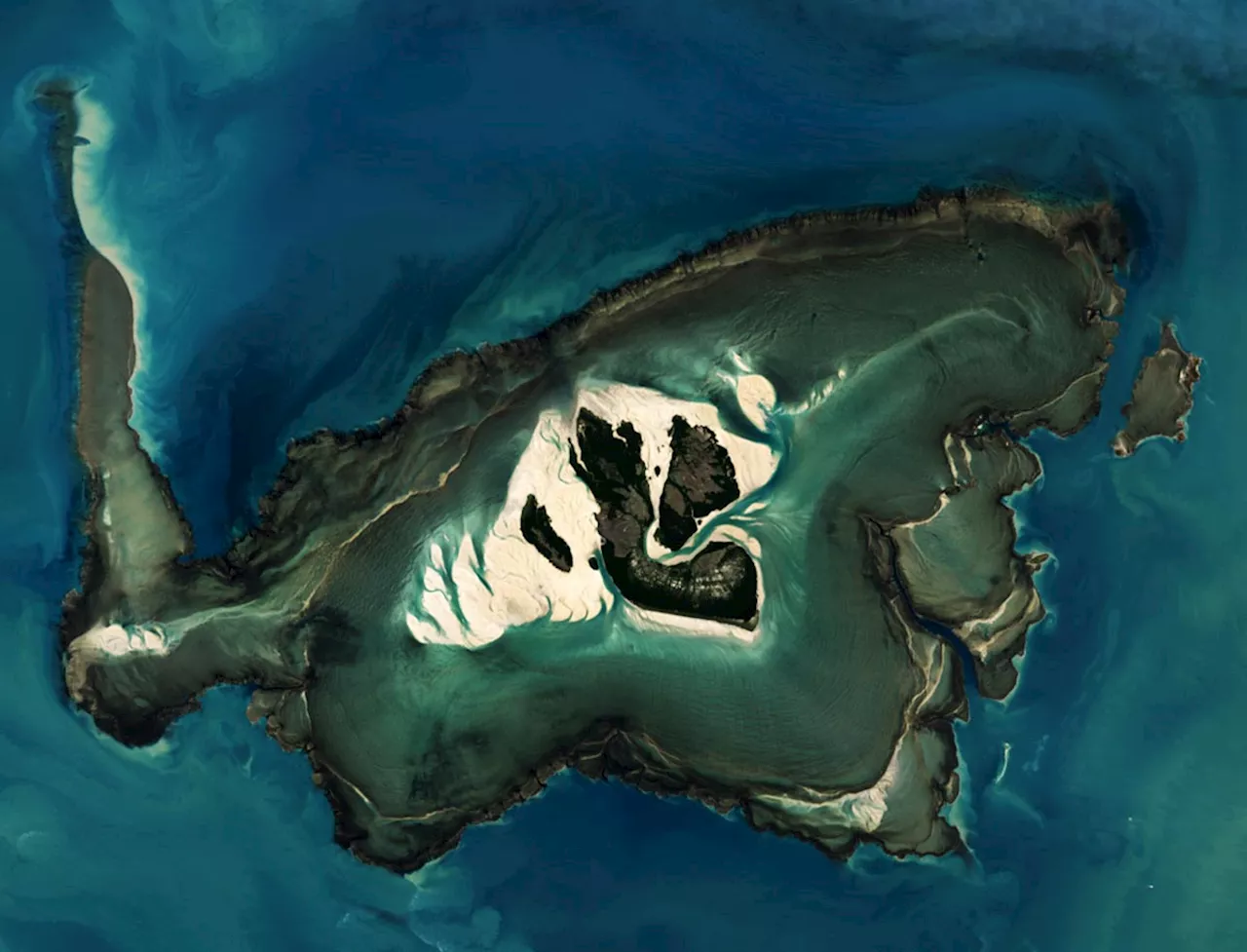 Tidal Extremes: Ecological Insights From Australia’s Dynamic Montgomery Reef