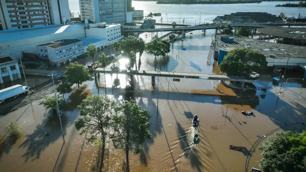 Leptospirose: doença bacteriana provoca primeiras mortes no Estado do Rio Grande do Sul