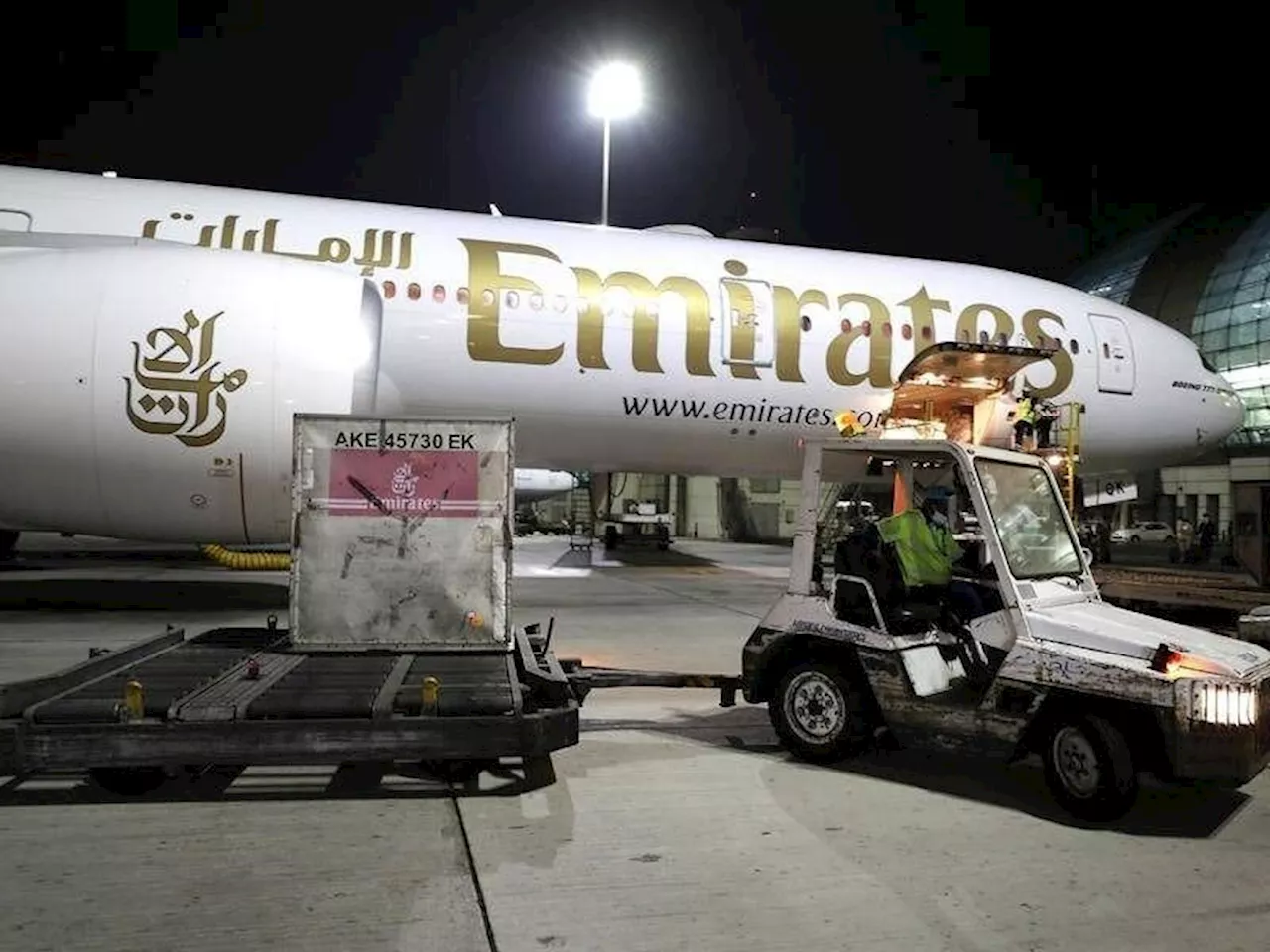 Emirates flight lands safely after hitting flamingos in Mumbai