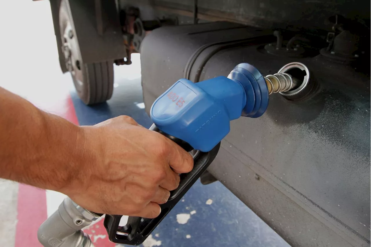 Targeted diesel subsidy to strengthen govt fiscal position, improve resource allocation