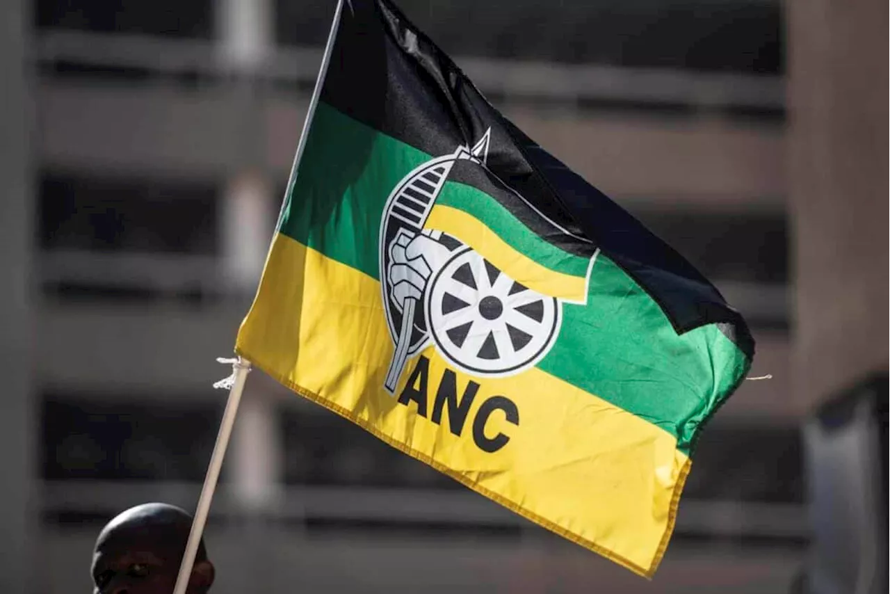 Council violence in Mpumalanga points to ANC ‘tasting defeat’