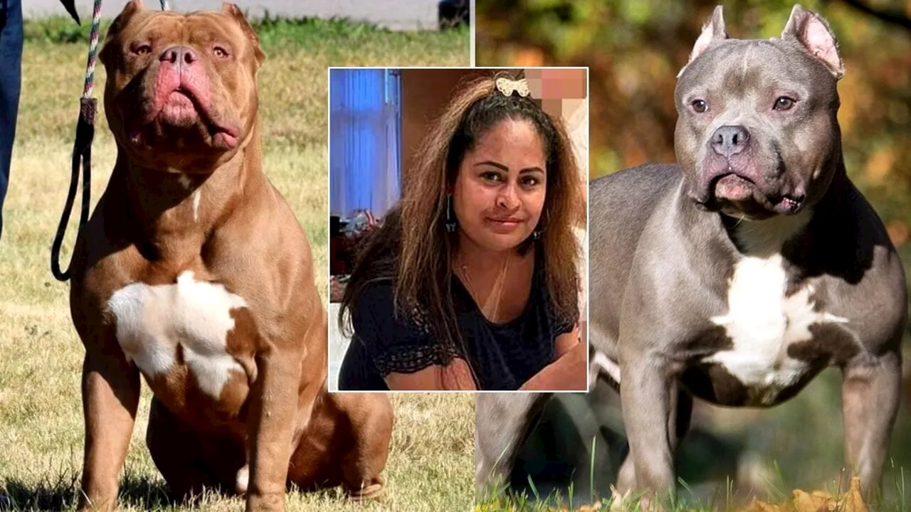 La donna sbranata e uccisa in casa dai suoi cani