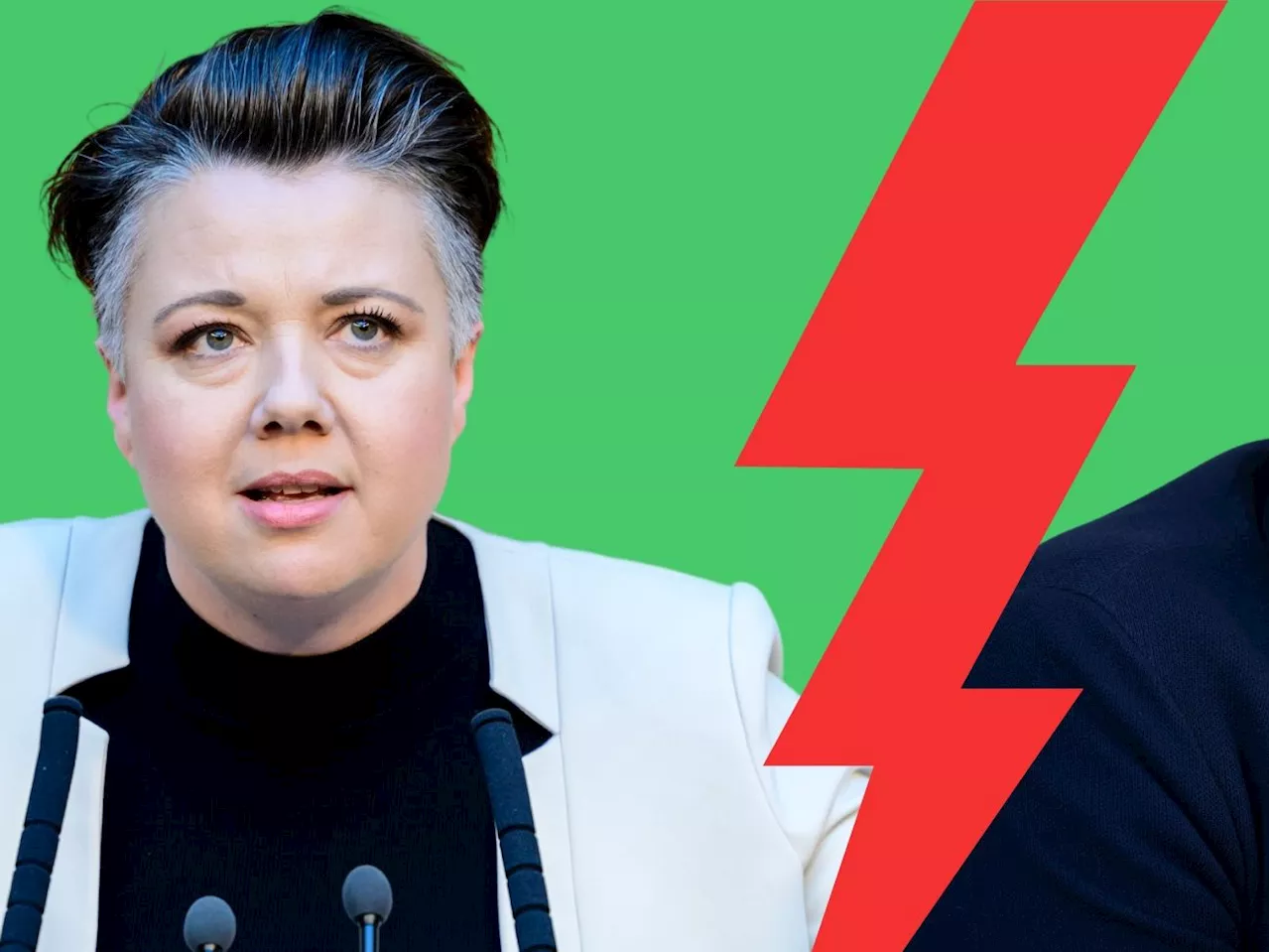 EU-Wahl: Grüne orteten rote 'Silberstein-Methoden', SPÖ empört