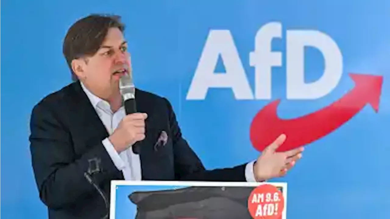 Warum die AfD kurz vor der Europawahl in der Krise ist