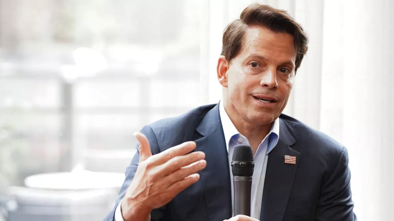 Hold Nvidia long-term, you'll be 'well-rewarded': Scaramucci