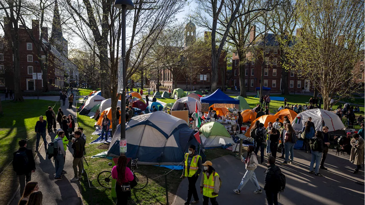 Harvard leaders deny graduation for 13 pro-Palestine student protesters