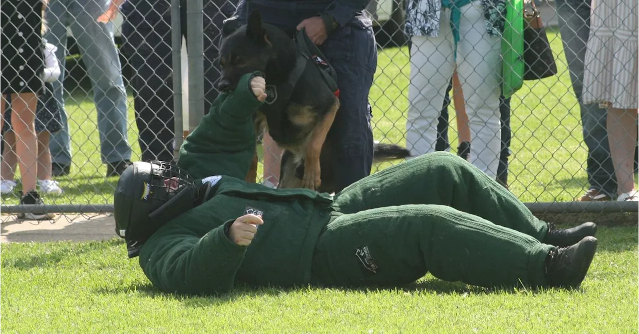 New class of prison pups ready to bust contraband