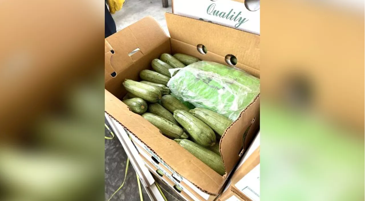 1,400 packages of meth weighing almost 6 tons and worth over $18 million found in squash shipment