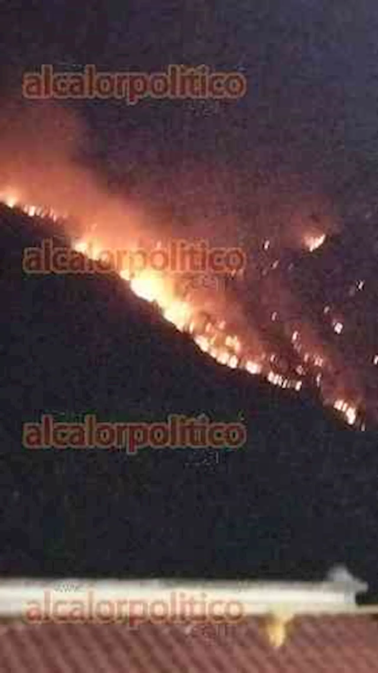 Incendio forestal en San Andrés Tenejapan crece y se extiende a Tlilapan