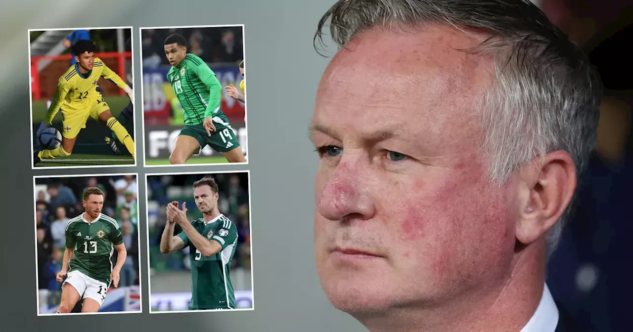 Michael O'Neill hoping Northern Ireland's band of brothers can pay dividends