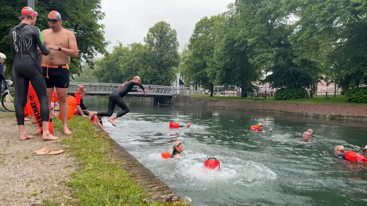 Lille: un groupe de nageurs milite pour installer un bassin de natation dans la Deûle