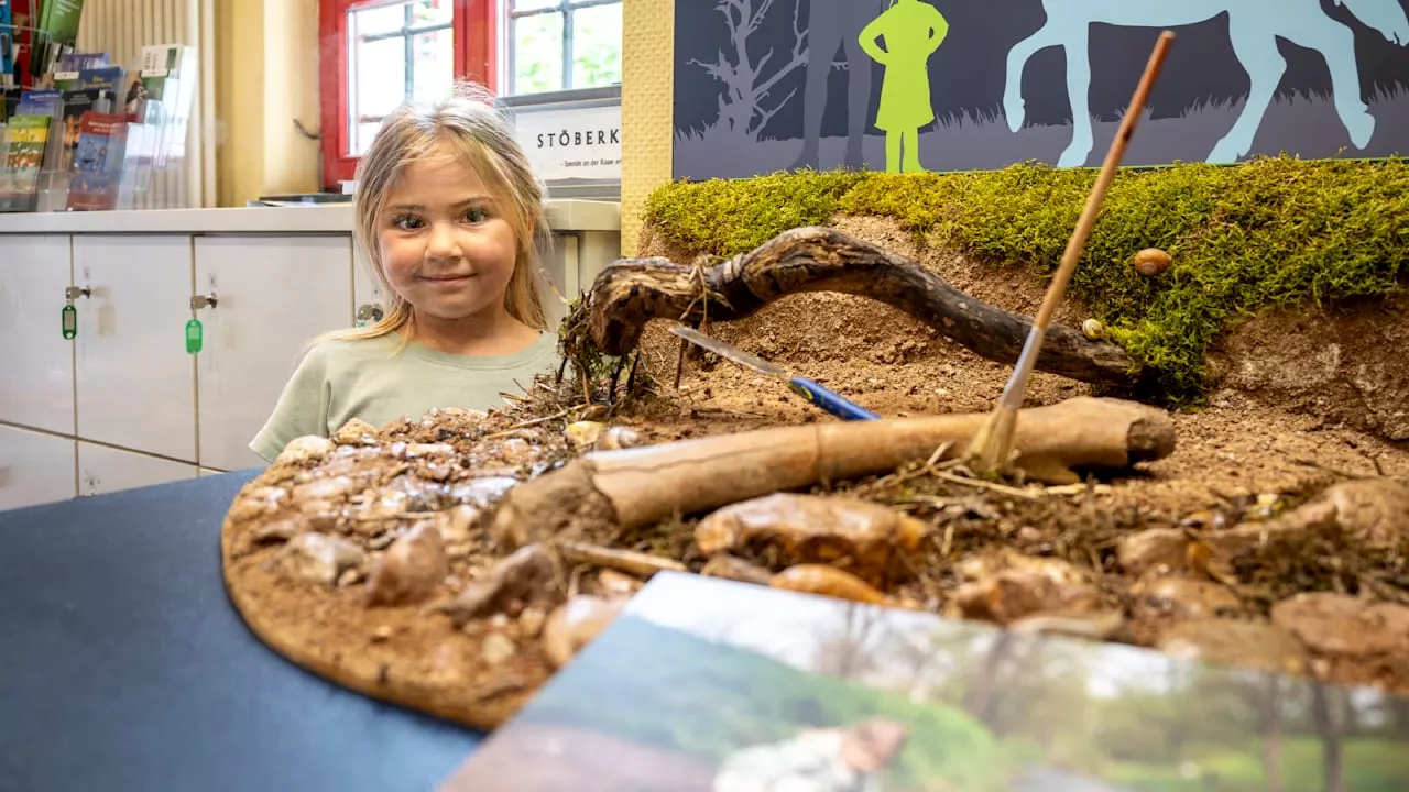 Charlotte (5) aus Erfurt findet 10 000 Jahre alten Pferdeknochen