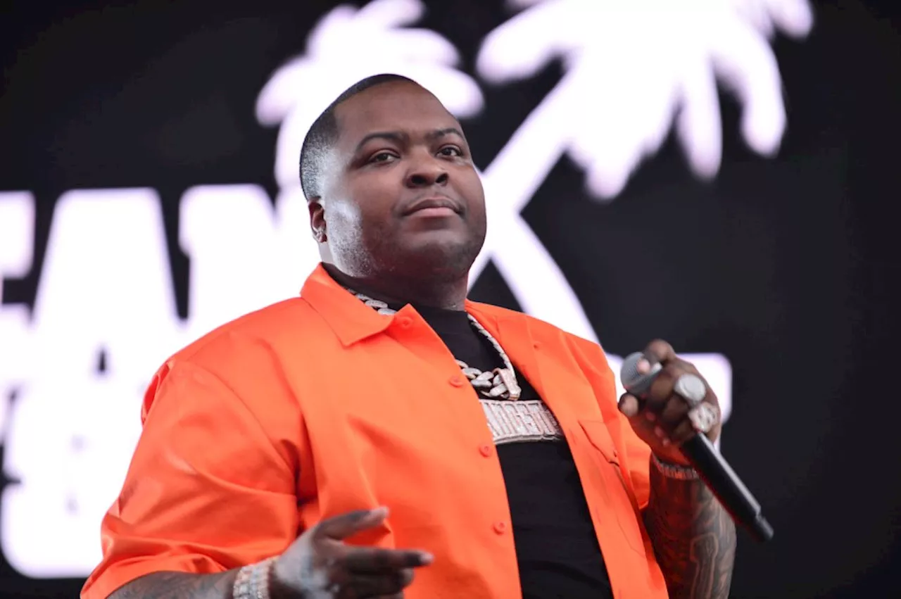 Sean Kingston’s Mother Taken Into Custody After Miami House Raid