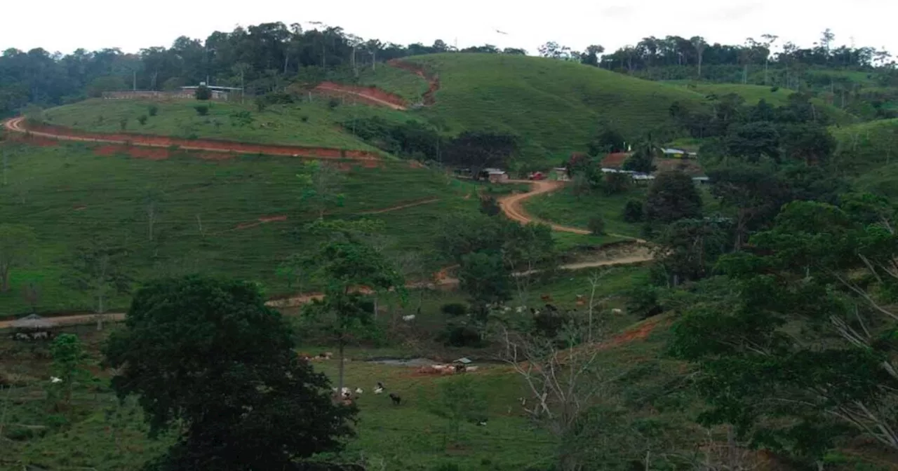 En Remedios, Antioquia, definen medidas de seguridad por grave situación humanitaria en zona rural