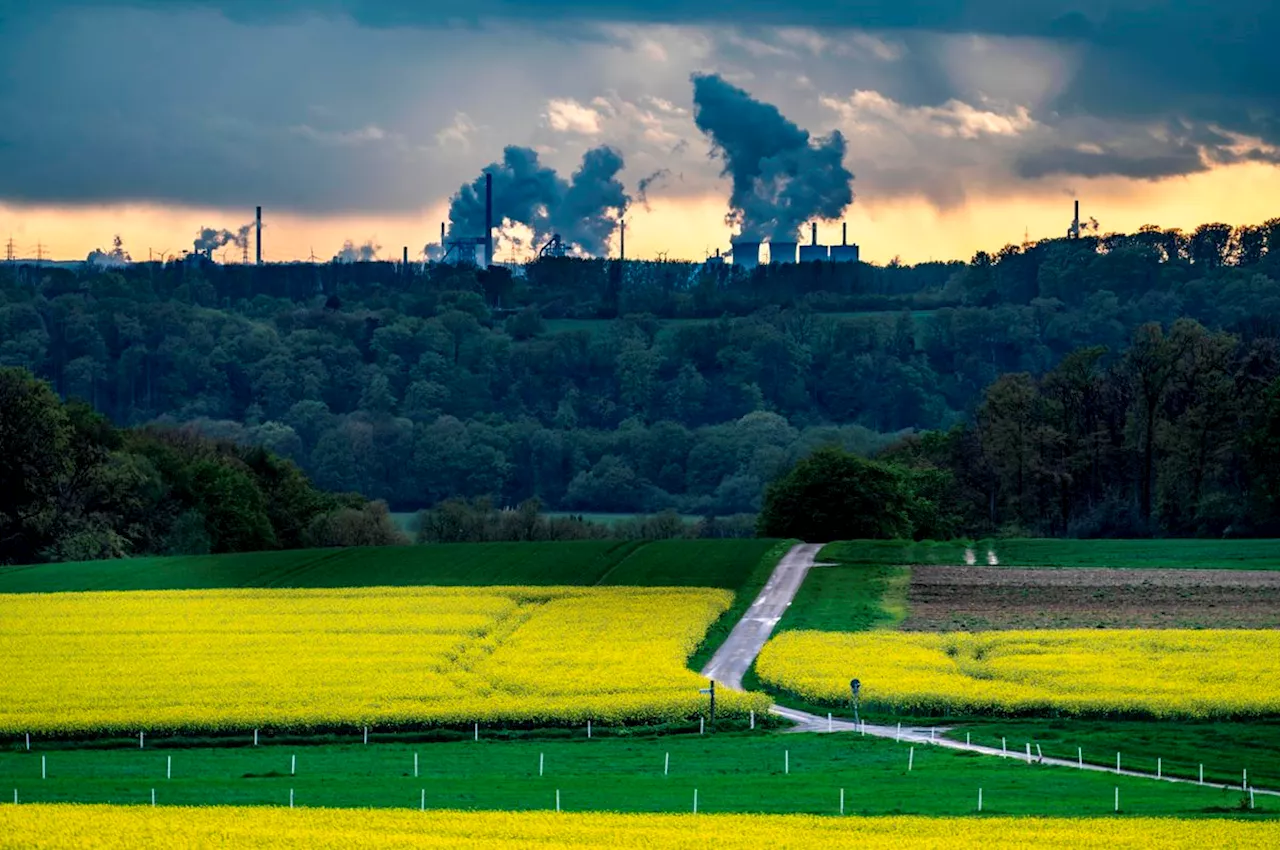 Grüne Leitmärkte brauchen europäische Standards