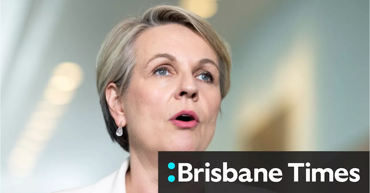 Deepfake porn could cause a generational back step in gender equality, says Plibersek