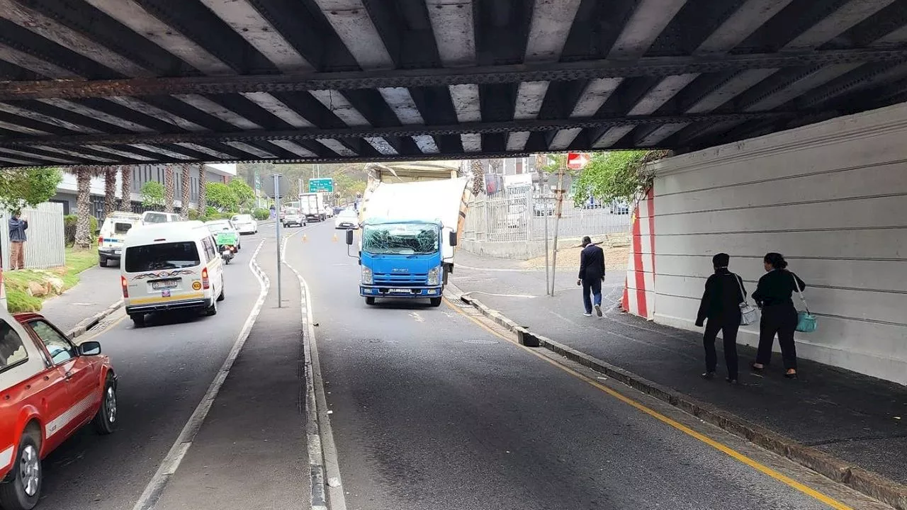 Bridget, Cape Town's hungriest bridge saves the day