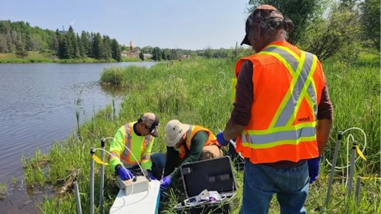 Mercury poisoning near Grassy Narrows First Nation worsened by ongoing industrial pollution, study suggests