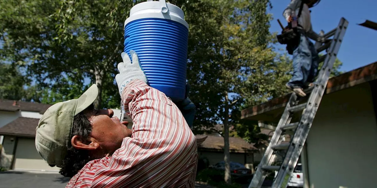 Florida GOP Passes 'Vicious' Bill Banning Mandatory Water Breaks for Workers