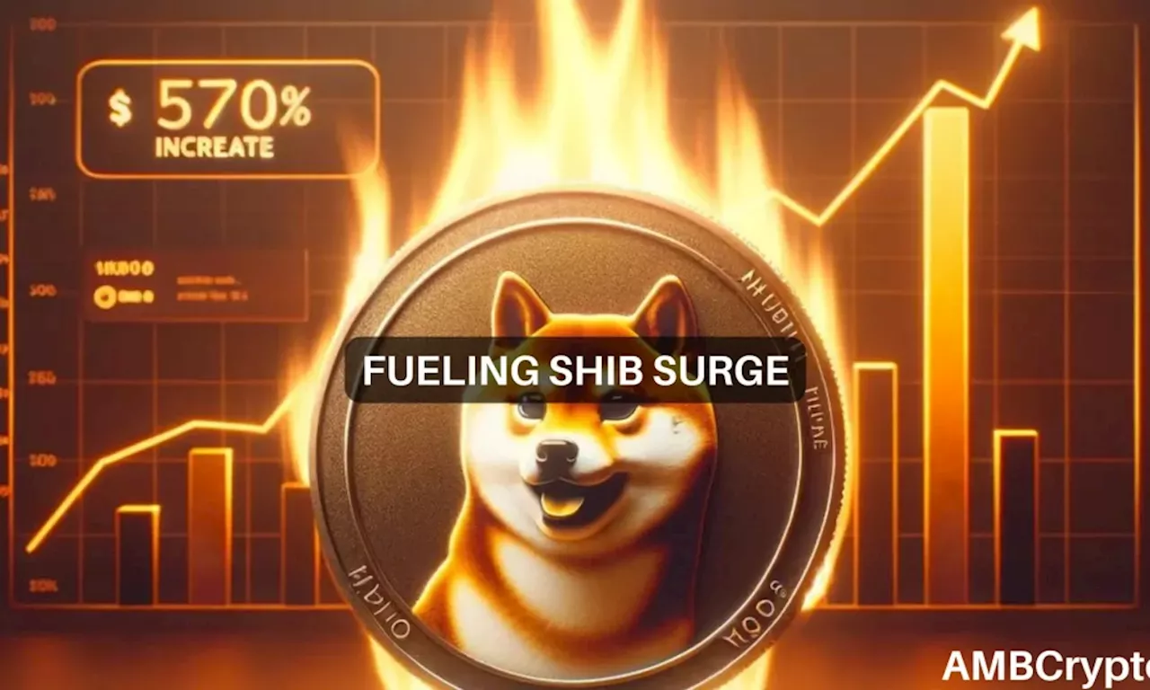 Shiba Inu burn rate explodes 570% – Will prices follow suit?