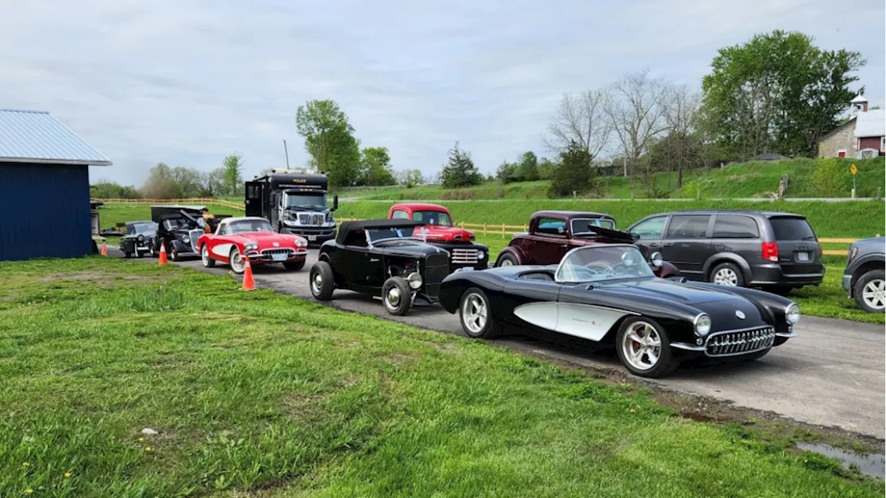 Multiple stolen cars recovered in Sterling, Ont., 2 people facing charges