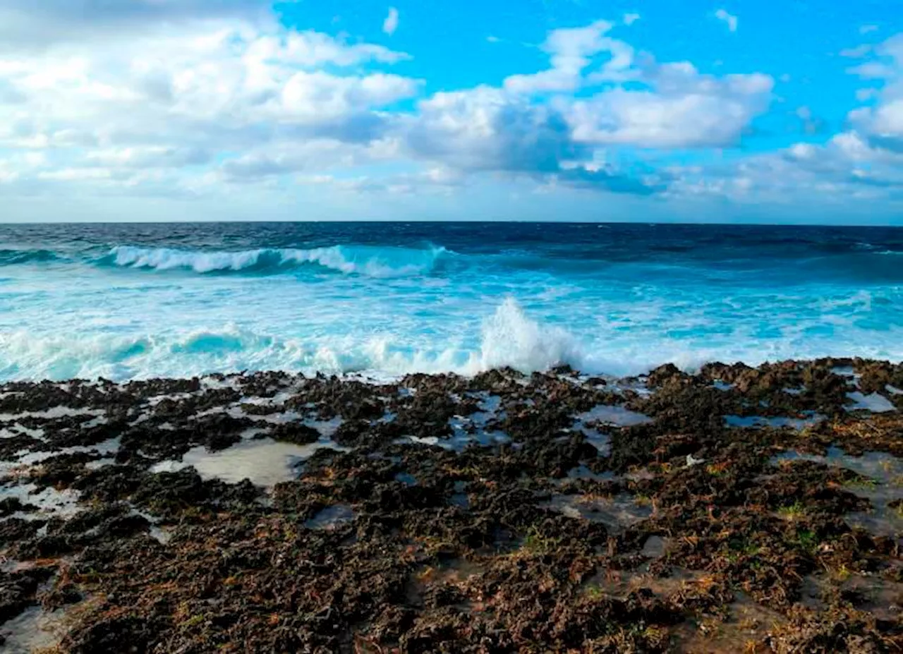 Barranquilla está en alerta ante la inminente presencia de huracanes en el mar Caribe