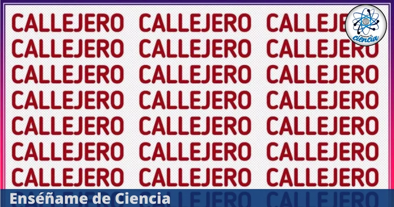 Acertijo visual DIFÍCIL, el 95% falló: ¿Serás capaz de encontrar la palabra DIFERENTE a CALLEJERO?