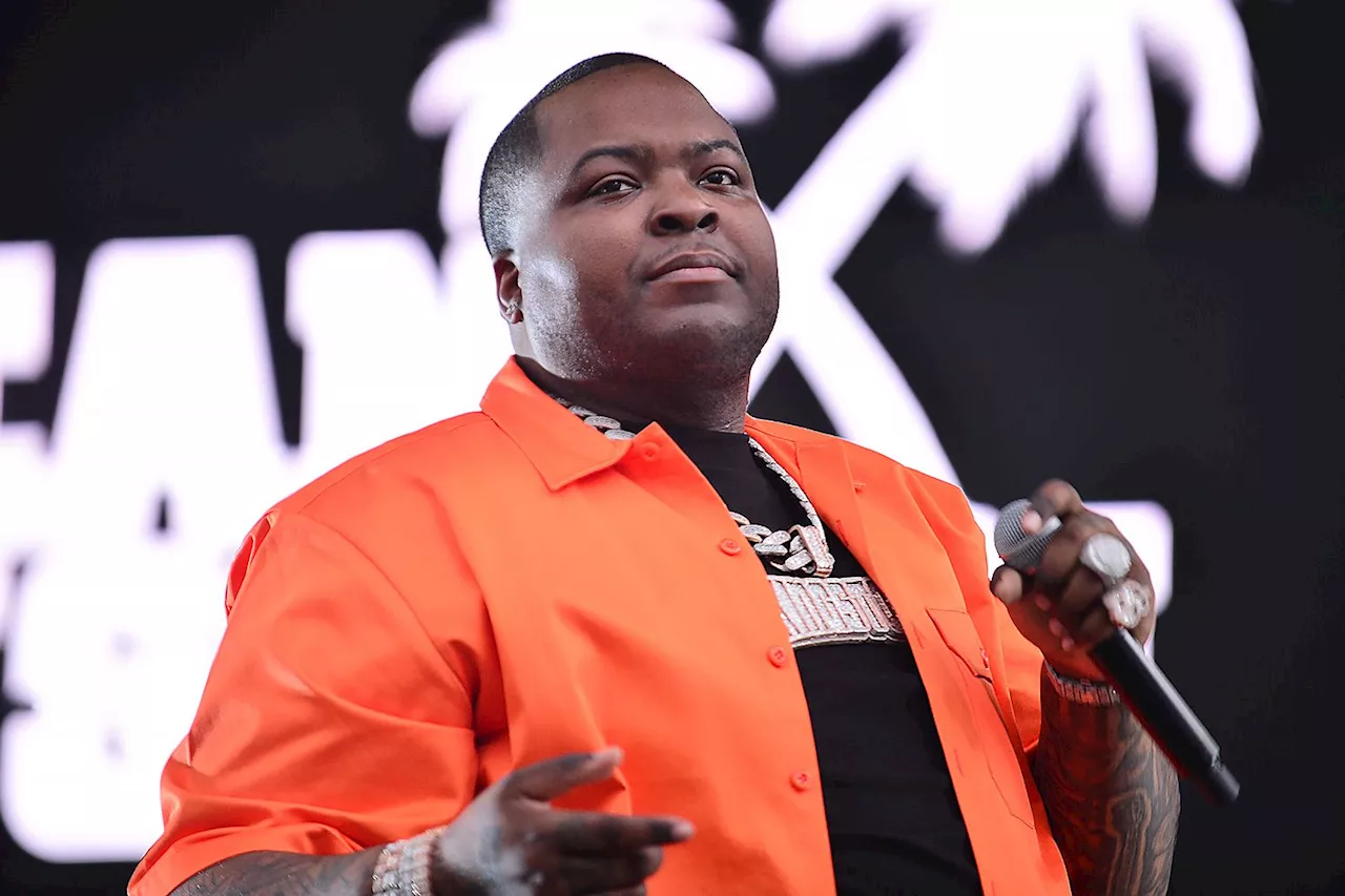 Police raid singer Sean Kingston's Florida mansion, arrest his mother on fraud and theft charges