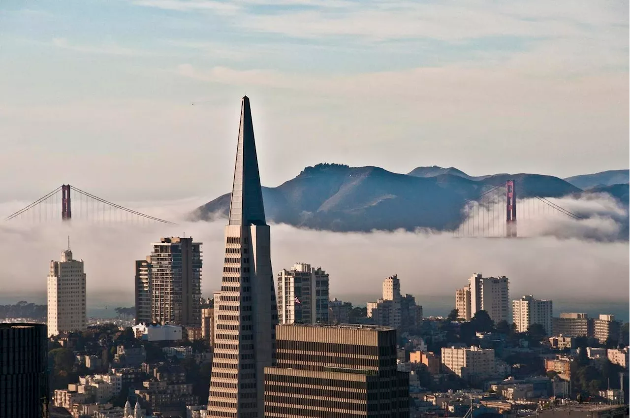 A Culture Of Innovation: Inside The Bay Area's Thriving Tech Scene