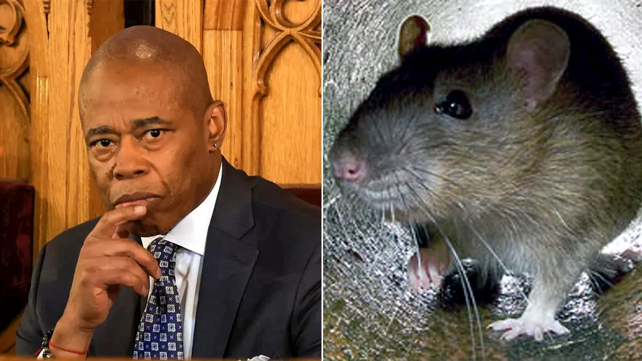 NYC Mayor Eric Adams announces Urban Rat Summit to combat rodent crisis: 'I hate rats'