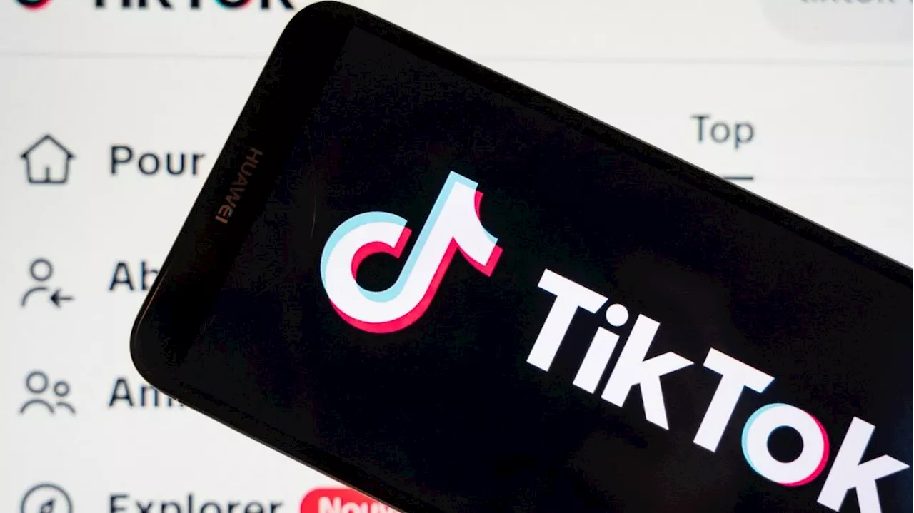 Emeutes en Nouvelle-Calédonie : le Conseil d'Etat 'ne suspend pas le blocage de TikTok'