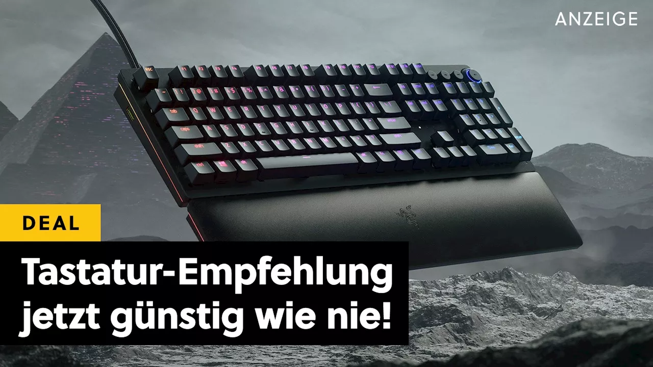 Bei solch einem Preis können Logitech, Corsair & Co. einpacken: Unsere Tastatur-Empfehlung gibt's jetzt günstig wie noch nie!