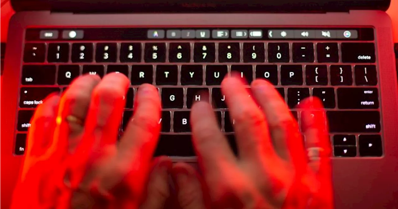 Amid London Drugs hack, what to do if you think your data is at risk