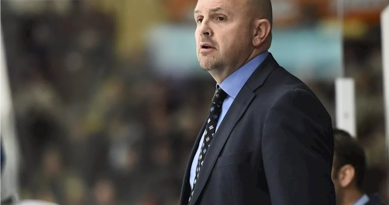 Cory Stillman named new head coach of OHL’s Guelph Storm