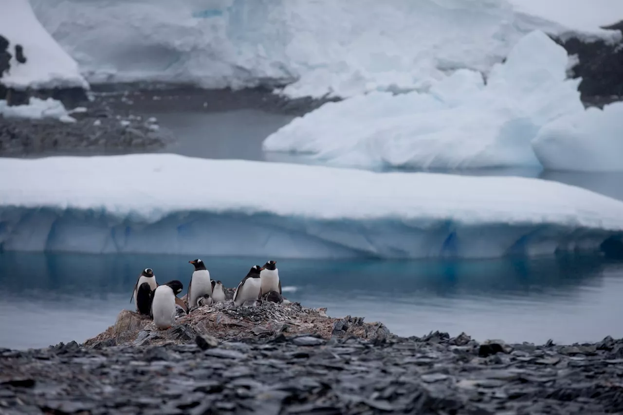 In message to Russia, Chilean lawmakers meet in Antarctica to underline territorial claims