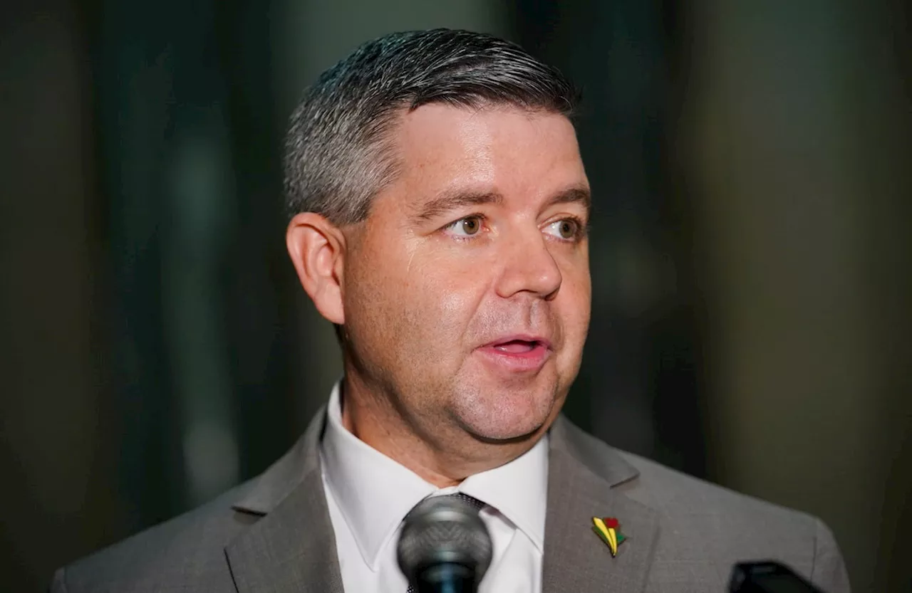 Saskatchewan NDP demands government house leader address gun allegations