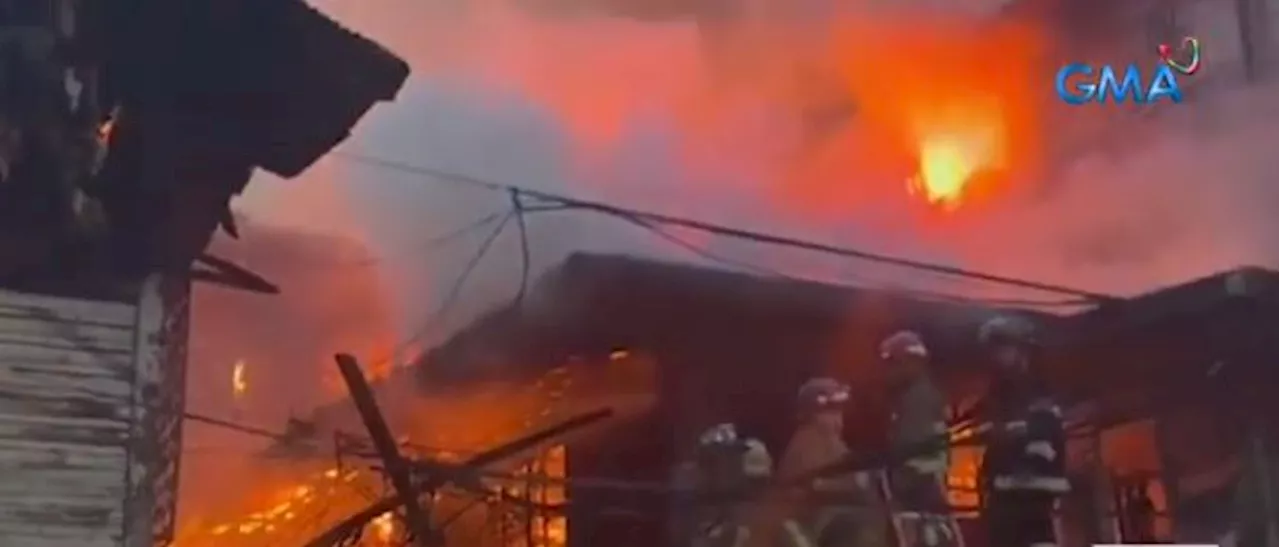 20 families lose home, 14 trapped cats die in Manila fire