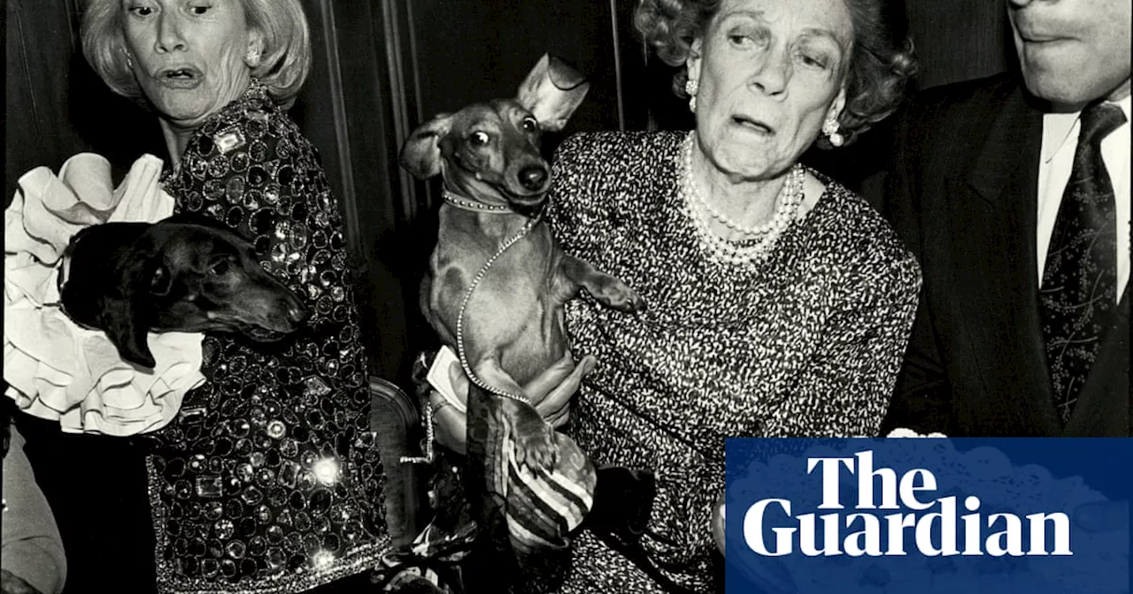 Dachshunds, debutantes and Donald Trump: capturing the glitzy, bizarre world of 80s high society