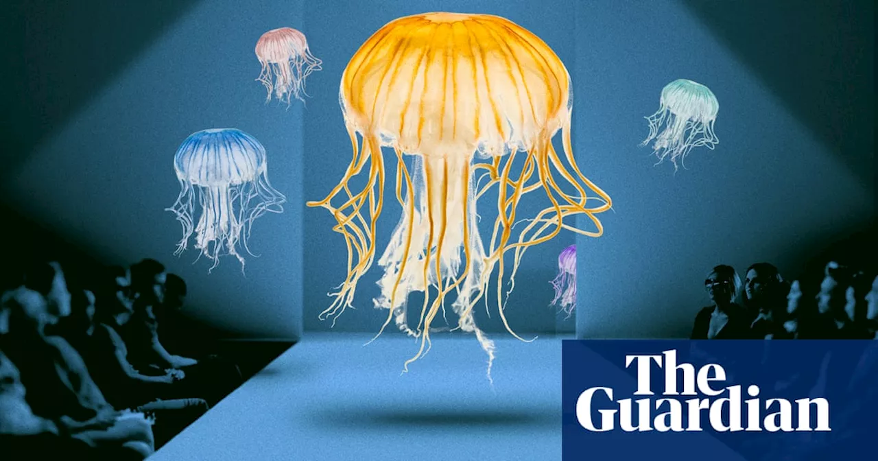 ‘Really weird and really beautiful’: why the jellyfish is 2024’s unexpected style icon