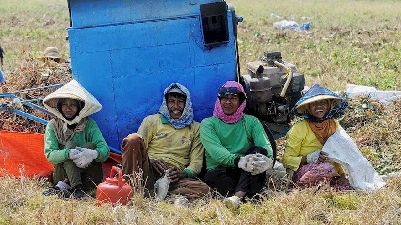 Kesejahteraan Petani Kunci Hadapi Ancaman Krisis Pangan