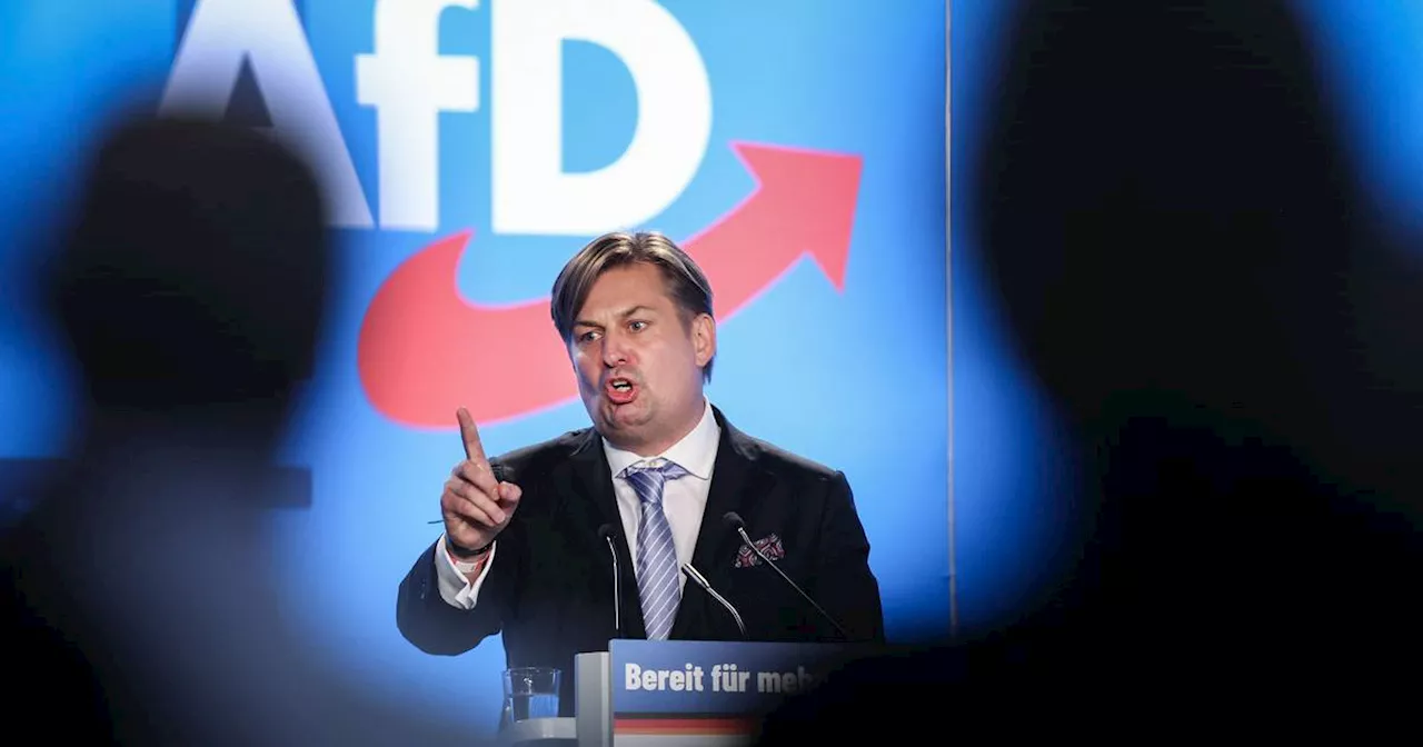 AfD in freefall over European lead candidate