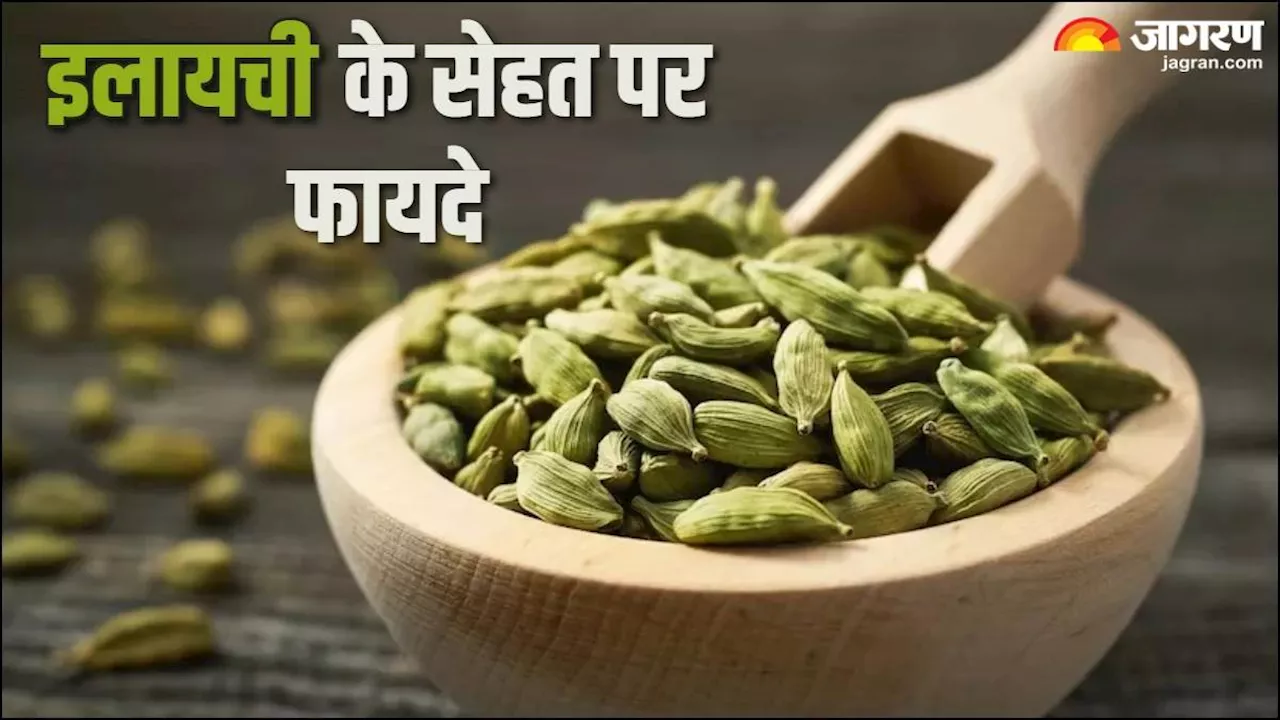 Cardamom Benefits: यूं ही नहीं कहा जाता मसालों की रानी, इलायची से सेहत को मिलते हैं ये जबरदस्त फायदे