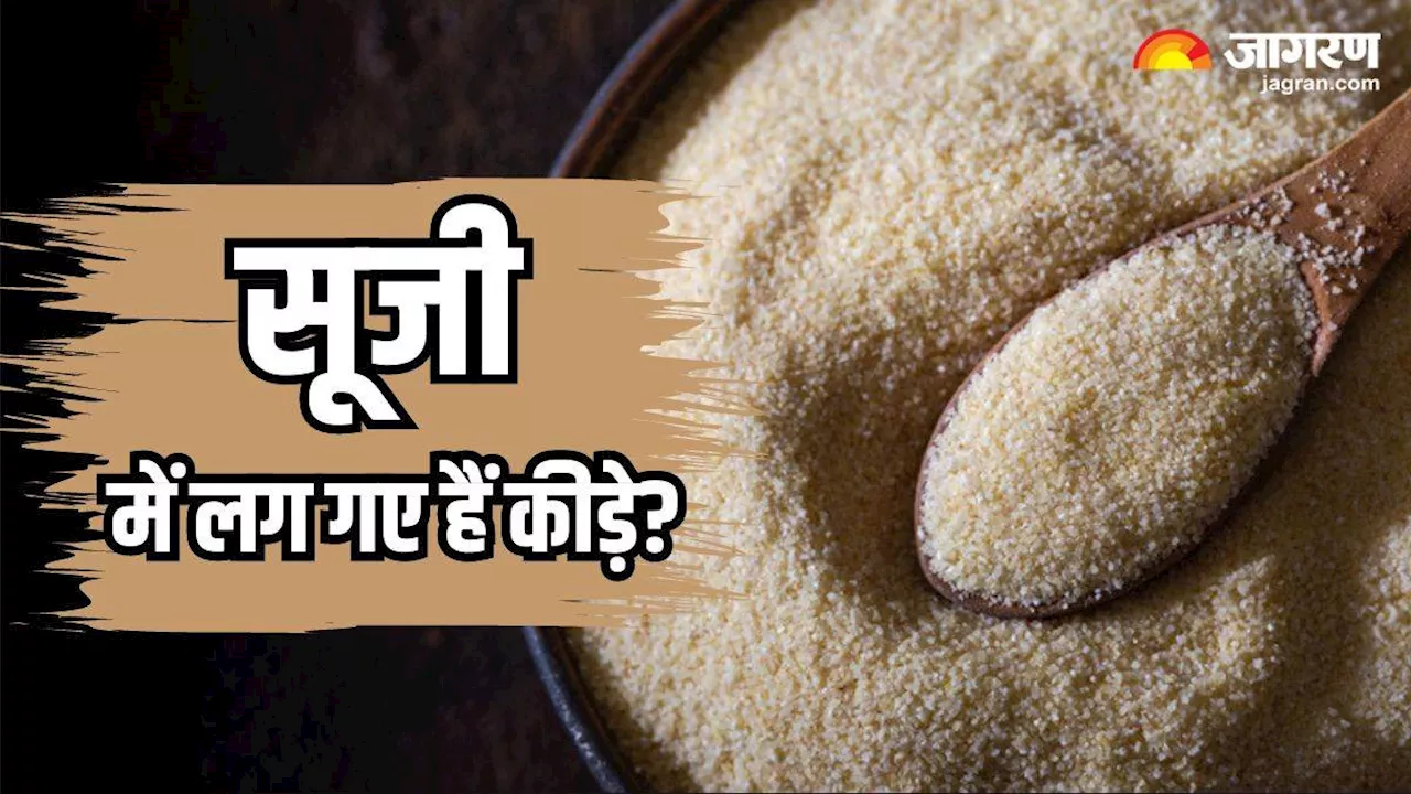 Kitchen Hacks: सूजी में लग गए हैं कीड़े, तो फेंकने के बजाए आजमाएं ये 5 ट्रिक्स, हमेशा रहेगी फ्रेश