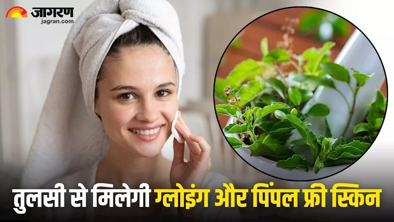 Skin Care: गर्मियों में चाहिए ग्लोइंग और पिंपल फ्री स्किन, तो ऐसे करें तुलसी के पत्तों का इस्तेमाल